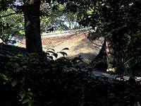 マウスクリックで拡大/縮小します