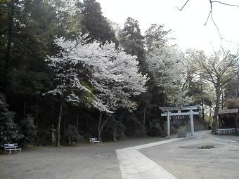 マウスクリックで拡大/縮小します