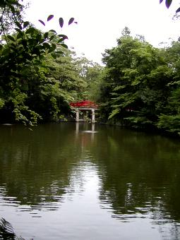 マウスクリックで拡大/縮小します