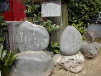 マウスクリックで拡大/縮小します