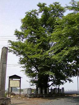 マウスクリックで拡大/縮小します