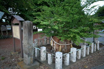 マウスクリックで拡大/縮小します