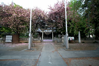 マウスクリックで拡大/縮小します