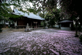 マウスクリックで拡大/縮小します