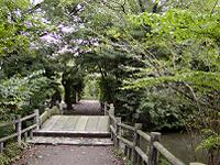 マウスクリックで拡大/縮小します