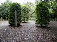 マウスクリックで拡大/縮小します