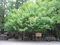 マウスクリックで拡大/縮小します