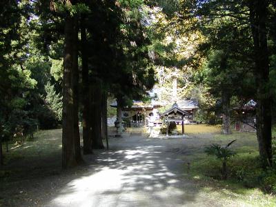 マウスクリックで拡大/縮小します