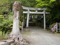 マウスクリックで拡大/縮小します