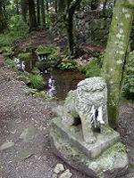 マウスクリックで拡大/縮小します