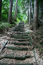 マウスクリックで拡大/縮小します