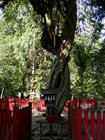 マウスクリックで拡大/縮小します