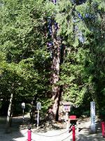 マウスクリックで拡大/縮小します