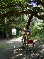 マウスクリックで拡大/縮小します