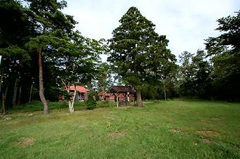 マウスクリックで拡大/縮小します