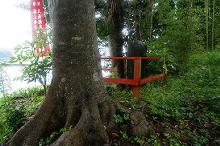 マウスクリックで拡大/縮小します