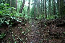 マウスクリックで拡大/縮小します