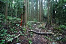 マウスクリックで拡大/縮小します