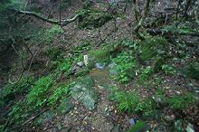 マウスクリックで拡大/縮小します