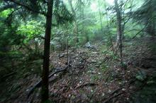 マウスクリックで拡大/縮小します