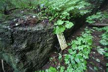 マウスクリックで拡大/縮小します