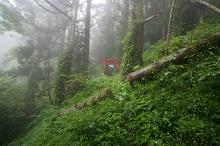 マウスクリックで拡大/縮小します