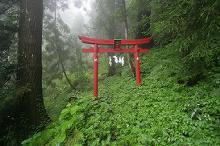 マウスクリックで拡大/縮小します