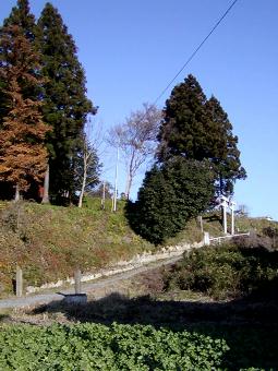 マウスクリックで拡大/縮小します