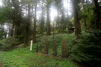 マウスクリックで拡大/縮小します