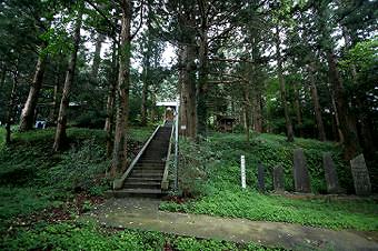 マウスクリックで拡大/縮小します