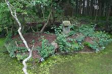 マウスクリックで拡大/縮小します