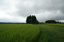 マウスクリックで拡大/縮小します