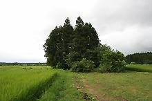 マウスクリックで拡大/縮小します