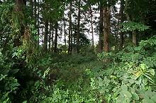 マウスクリックで拡大/縮小します