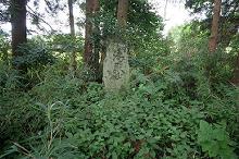 マウスクリックで拡大/縮小します