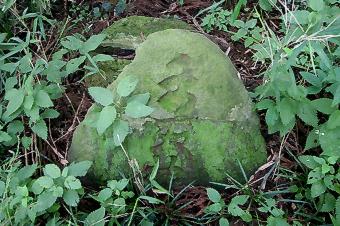 マウスクリックで拡大/縮小します