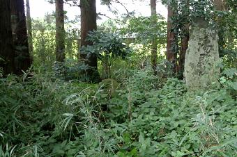 マウスクリックで拡大/縮小します