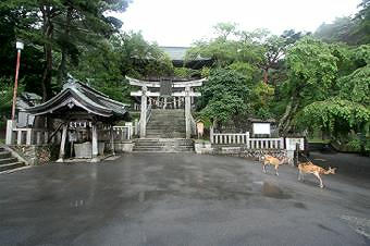 マウスクリックで拡大/縮小します