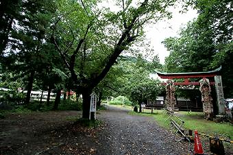 マウスクリックで拡大/縮小します