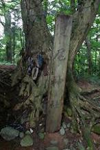 マウスクリックで拡大/縮小します