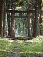 マウスクリックで拡大/縮小します