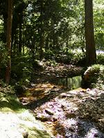 マウスクリックで拡大/縮小します