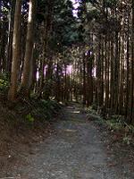 マウスクリックで拡大/縮小します