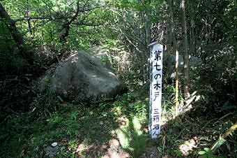 マウスクリックで拡大/縮小します