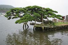 マウスクリックで拡大/縮小します