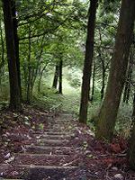 マウスクリックで拡大/縮小します