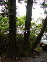 マウスクリックで拡大/縮小します