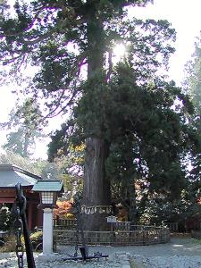 マウスクリックで拡大/縮小します