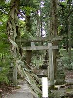 マウスクリックで拡大/縮小します