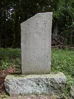 マウスクリックで拡大/縮小します